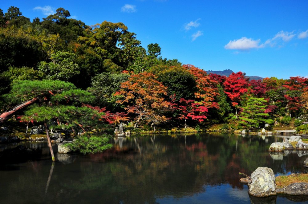 Melihat kolam cantik penuh warna merah, dari biara besar, &#39;Dai-hojo&#39;